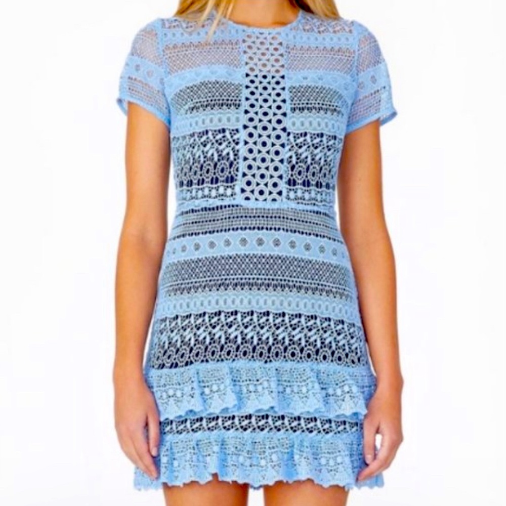 Parker Blue Darcy Lace Ruffle Dress - NEW